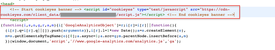 cookieyes troubleshooting: where to paste installation script.